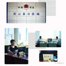 慶云縣村村有了免費法律顧問，貼心服務解民憂